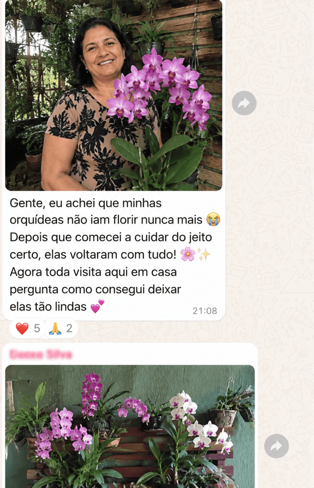 Depoimento 1