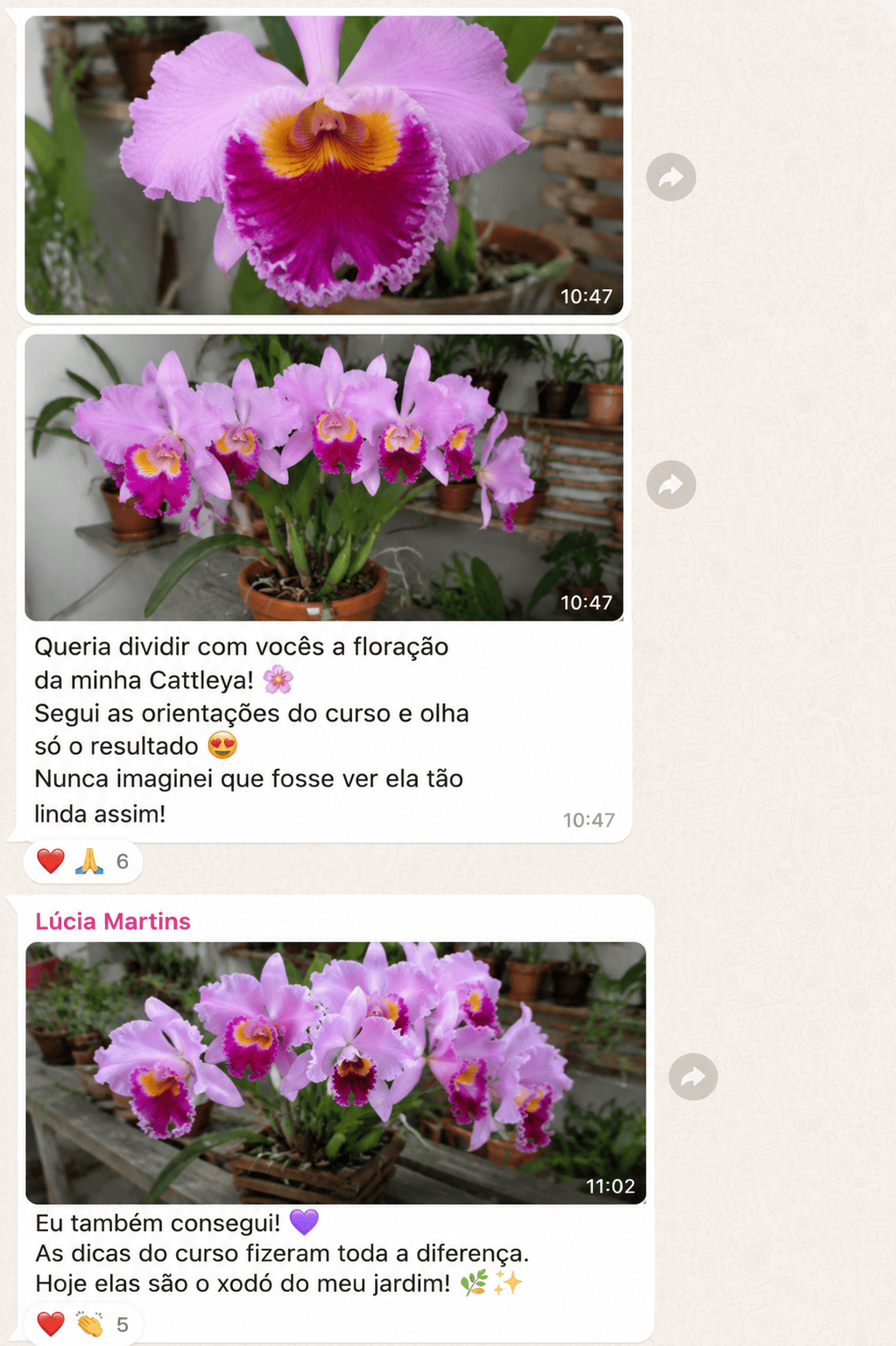 Depoimento 2